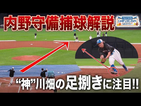 上川畑大悟＆石井一成の超安定守備 内野ノックでの足捌きに注目を解説＜11/3ファイターズ秋季キャンプ2024＞