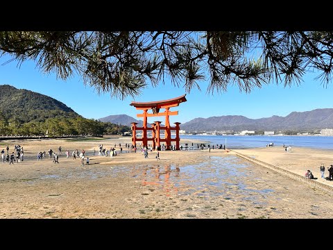 廣島的宮島及嚴島神社/ Miyajima & Itsukushima Shinto Shrine @ Hiroshima, visited on 11-21-2023