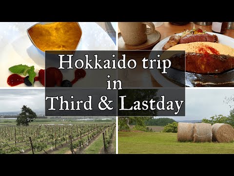 【vlog】3泊4日の北海道旅行#3　とうとう雨に降られる3日目、そして帰るだけの最終日に快晴