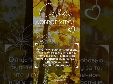 Доброе утро☀ 🌝⏰ С Добрым утром! #музыкальнаяоткрытка #youtubeshorts #доброеутро #сдобрымутром