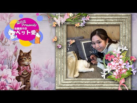 【猫の日Presents】佐藤理子のペット愛💛✨💛をご紹介！！