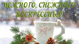 Чудесного Воскресенья! Позитивная песня для друзей!☕💃🏻