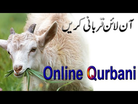 Online Qurbani Karien (How does Online Qurbani (Eid ul Azha 2020)