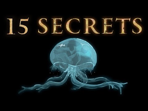 15 Mysterious Secrets in Elden Ring and Dark Souls!