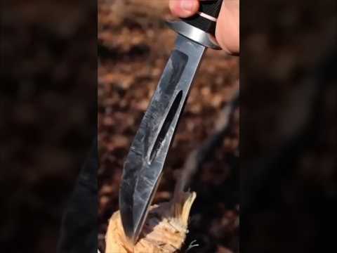 🔪SOG Creed Knife: Unique Blade Steel & Design #shorts #knife #survival #shortsvideo #shortsfeed