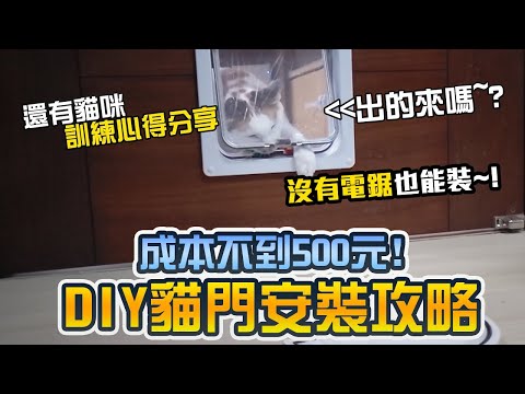 DIY安裝貓門攻略+如何教貓咪進出｜貓門｜cat door｜寵物門｜pet door