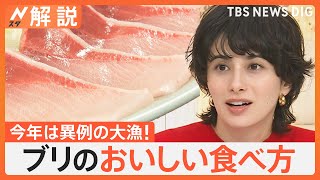 旬のブリ 今年は異例の大漁！約2割安くて脂乗り抜群、おすすめの食べ方は醤油に「一味唐辛子」【Nスタ解説】｜TBS NEWS DIG