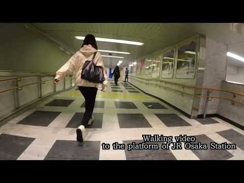 Walking video to the platform of JR Osaka Station. #osaka #uemda #jrosaka