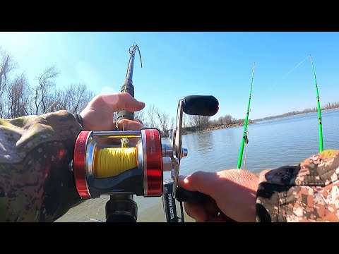 Catfishing Tournament on a MASSIVE RIVER!! (Twisted Cats Tournament Alton, Il)