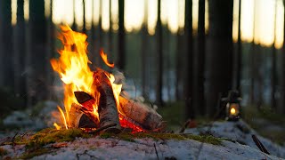 4K 📺 Silent Forest Campfire 🔥 Soothing Sounds of Nature and Relaxation