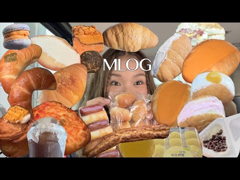 SUB)[밈PD|VLOG] mlog리얼한 미현이의 세상_62/ 2023은 황치즈 and 소금빵이었다....☆