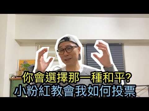 【移民台灣】親美和中？｜民進黨挑釁中國！｜￼兩種和平你怎麼選🤔｜小粉紅教會我如何投票