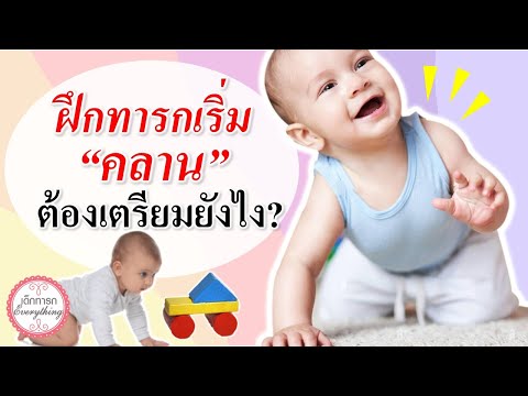 วิธีเลี้ยงเด็กทารก :  ฝึกทารกเริ่ม "คลาน" ต้องเตรียมยังไง ? | ทารกคลานกี่เดือน | เด็กทารก Everything