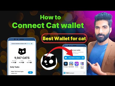 How to connect wallet in cat | Cat wallet connect | connect okx wallet | connect tonkeeper Wallet