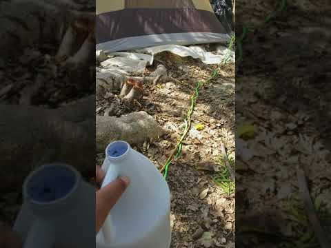 Haunted bleach bottle