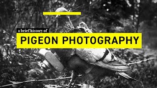 Pigeon Photography: a brief history