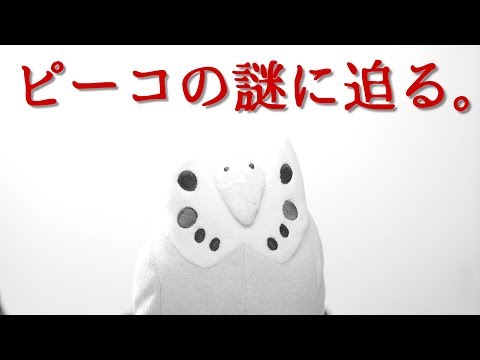 今日はピーコのあの「謎」に迫る…【短編】