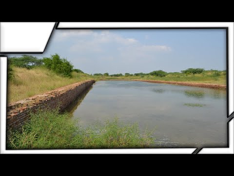 The World’s Oldest Dock at Lothal