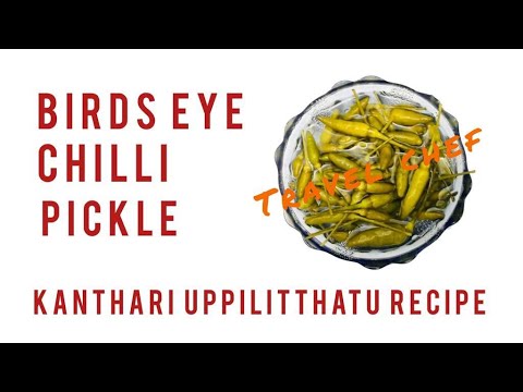 Kerala Style Bird's Eye Chilli Pickle | Recipe 158 | Kanthari Uppilittathu | Travel Chef