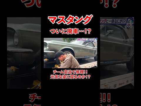 マスタング ついに廃車...!? チーム宮迫で修理！#宮迫博之 #外車 #shorts