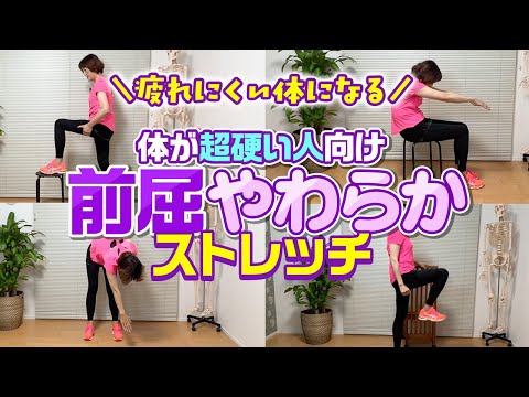 【疲れにくい体】ハムストリングス・お尻を緩めて前屈ができるようになるストレッチ