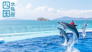 【雨の香川旅行】おすすめの四国水族館！香川県の四国最大観光名所！【フルHD】香川県綾歌郡宇多津町浜一番丁4