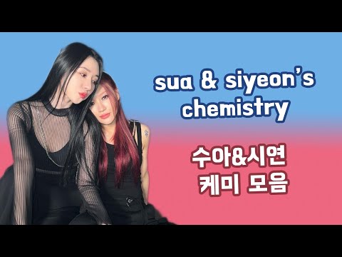 sua & siyeon's chemistry 드림캐쳐 수아&시연 케미 모음 🐥🐺