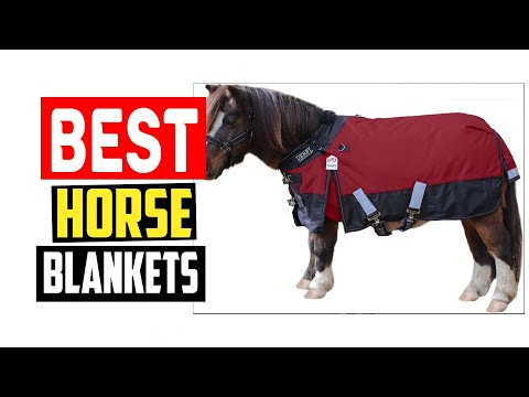 ✅The 5 Best Horse Blankets in 2023