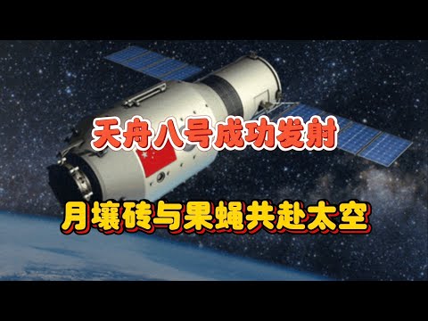 天舟八号闪电对接天宫，月壤砖与果蝇首次共赴太空