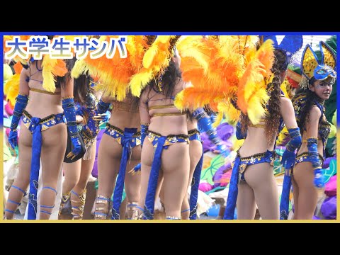 4K 大学生 浅草サンバカーニバル 2024 S1-⑤ ウニアン・ドス・アマドーリス Asakusa Samba Japan