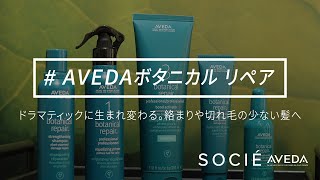 【AVEDAボタニカル リペア】AVEDAパドルブラシの効果的な使い方も◎ドラマティックに生まれ変わる。絡まりや切れ毛の少ない髪へ。Go to SOCIE AVEDA（ソシエアヴェダを体験）