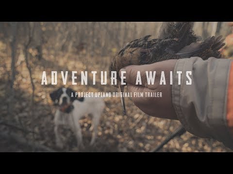 Bird Hunting Minnesota - Adventure Awaits - Official Trailer