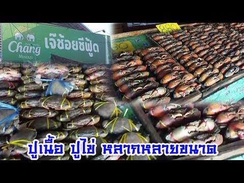 เจ๊ช้อยซีฟู้ด ร้านอาหารทะเลสดๆ ราคาไม่แพง ริมถนนบางขุนเทียนชายทะเล