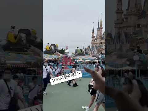 ついに夢の国（ディズニーランド）へ行きました✨