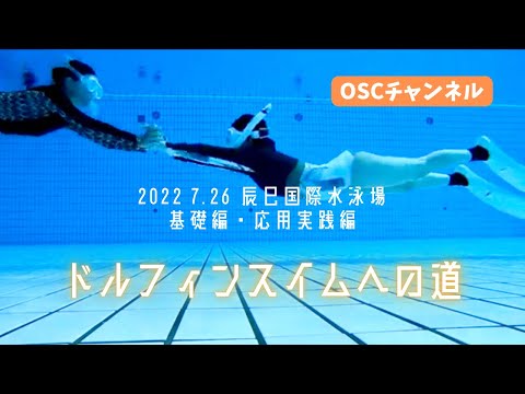 ドルフィンスイムへの道！楽しむために必要なスキルとは？OSCスキンダイビング講習会（基礎編・応用実践編）の練習風景（フォームチェック動画） in 東京辰巳国際水泳場