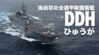 【海上自衛隊・護衛艦】DDHひゅうがの戦闘訓練!!