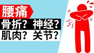 为什么腰痛, 3种腰痛你是哪一种? (腰痛诊断流程)