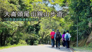 大崙頭尾山步道健走