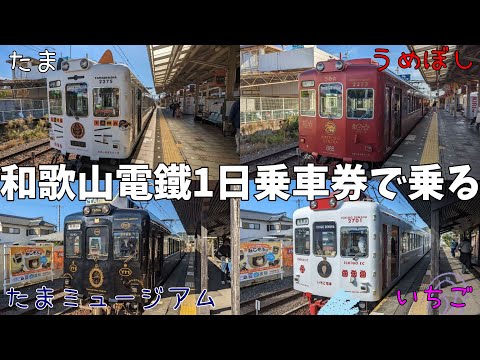 【和歌山電鐵】1日乗車券で4つの電車に乗ってきました/たま電車/いちご電車/うめぼし電車/たまミュージアム