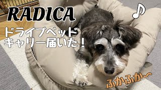 【犬とドライブ】RADICAのドライブベッド購入したのが届いたので開封します🚙　/ミニチュアシュナウザー/犬との日常/ドライブベッド【ミニシュナのべる】