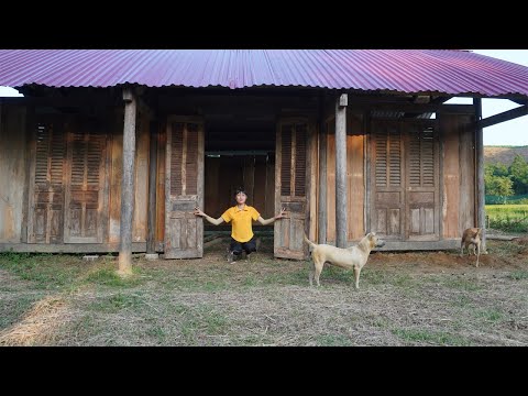 Build wooden walls for house - Dương free bushcraft, BUILD WOODEN HOUSE