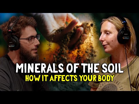 Soil Minerals Directly Affects Your Physiology And Personality