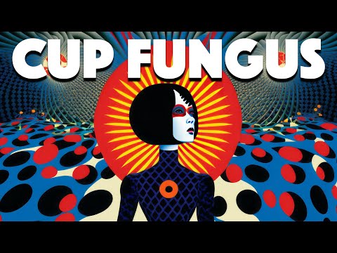 Cup Fungus - Rituals [full electronic album]