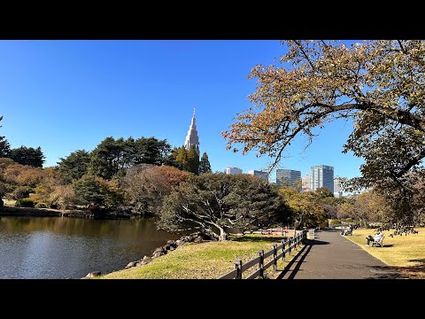 東京新宿御園 / Shinjuku Gyoen National Park Spring on 3-23-23 & Fall on 11-16-2023