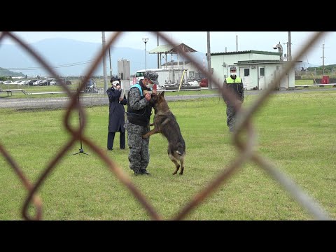 警備犬ってこんなにお茶目だっけ? 警備犬訓練展示 防府航空祭2022