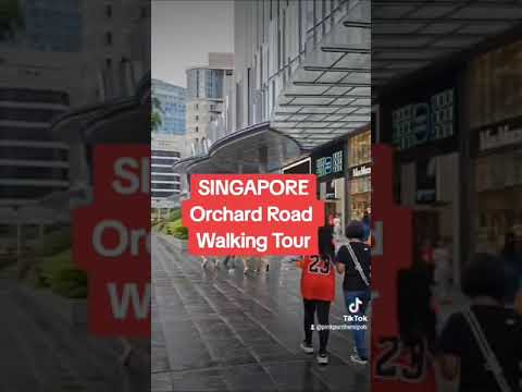 Singapore Orchard Road Walking Tour