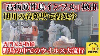 「高病原性鳥インフル」検出で旭川の養鶏場で殺処分　専門家は今季野鳥の中でのウイルス大流行を指摘