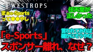 e-SportsのスポンサーからBMWが撤退⁉e-Sportsとスポンサー離れに対するネットユーザーの反応