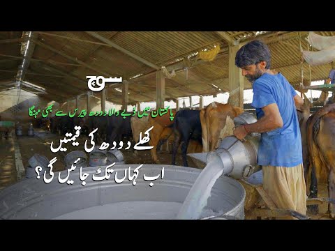 Milk Prices in Pakistan Higher Than Paris | What's behind the surge? | Soch Videos