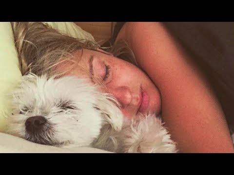 Dogs Want to Sleep With Owner Compilation NEW